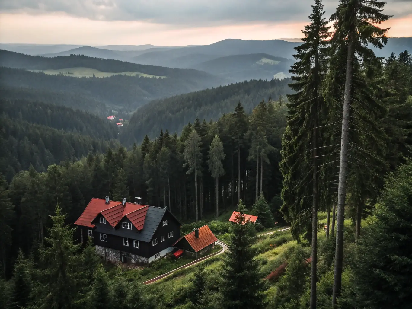 A photograph of a scenic train journey through the Black Forest region of Germany, highlighting the natural beauty and regional transport options.